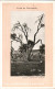 Delcampe - PALESTINE 95 CPA NEUVES VUES DE PALESTINE - 5 - 99 Postcards