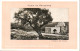 Delcampe - PALESTINE 95 CPA NEUVES VUES DE PALESTINE - 5 - 99 Postcards