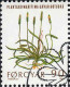 Feroe Poste Obl Yv: 42/46 Plantes Sauvages (TB Cachet Rond) (Thème) - Islas Faeroes