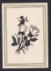 Flowers / Postcard Not Circulated, 2 Scans - Silhouette - Scissor-type