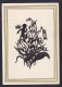 Flowers / Postcard Not Circulated, 2 Scans - Scherenschnitt - Silhouette