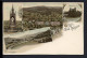 AK Bad Nassau Um 1900 Kloster Arnstein, Panorama (PK0785 - Andere & Zonder Classificatie