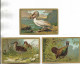 Lot De 10 Chromos Offerts Par " La Chicorée Bleu-Argent  ARLATTE & Cie, CAMBRAI "   OISEAUX - Thee & Koffie