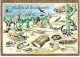 WILDLIFE OF THE SOUTHWEST DESERT, NEW-MEXICO, Postcard Sent To Andorra (Principality) - Other & Unclassified