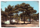 FROMENTINE Camping Sur La Cote Sauvage (carte Photo Animée) - Altri & Non Classificati