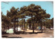 FROMENTINE Camping Sur La Cote Sauvage (carte Photo Animée) - Other & Unclassified