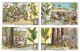 S 707, Liebig 6 Cards, Les Plantes Industrielles (some Spots) (ref B17) - Liebig