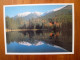 Carte Postale M5 Tatra Mountains Ryszard Ziemak The Lake Smreczynski Malopolska Poligrafia Limba - Polen