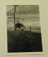 A Boy Rides A Cable Car - Anonyme Personen