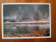 Carte Postale M13 Tatra Mountains Ryszard Ziemak In The Valley Of The Fish Stream Malopolska Poligrafia - Poland