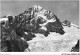 AGTP12-0882-SUISSE - ZERMATT - Dent Blanche  - Altri & Non Classificati