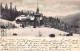 AGTP11-0842-ROUMANIE - SINAIA - Salutari Din Sinaia - Castelul Peles - Rumänien