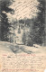 AGTP11-0833-ROUMANIE - SINAIA - Castelul Peles  - Romania