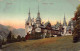 AGTP11-0831-ROUMANIE - SINAIA - Castelul Peles  - Romania