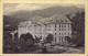 AGTP11-0829-ROUMANIE - SINAIA - Palace Hotel - Roumanie
