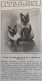 1905 EXPOSITION FÉLINE ET CANINE À BORDEAUX - LA VIE AU GRAND AIR - Other & Unclassified