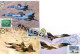 5 CARTES POSTALES SERIE AVION DE CHASSE . 2003 - Iran