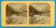 Autriche Tyrol à Situer * Photo Stéréoscopique Colorisée Par Transparence (cygnes) Vers 1860/65 - Stereoscopic