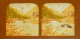 Autriche Tyrol à Situer * Photo Stéréoscopique Colorisée Par Transparence (cygnes) Vers 1860/65 - Stereoscopic