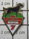 1818B  Pin's Pins / Beau Et Rare / ANIMAUX / CHIEN NOIR ROYAL CANIN SELECTION N°7 - Animals