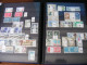 COLLECTION TIMBRES FRANCE NEUFS Entre 1962 Et 1981 Dans 2 Classeurs 32 + 16 Pages  Faciale = 168 + 120 = 288 Euros !! - Collections (en Albums)