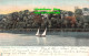 R358423 N. Y. Geneva. Along The Banks Of Seneca Lake. Tuck. Post Card Series No. - World