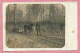 ELSASS - LOTHRINGEN - Carte Photo - Feldbahn - Wagonet Tiré Par Un Ane - Esel - Ravitaillemant - Guerre 14/18 - 3 Scans - Oorlog 1914-18