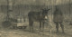 ELSASS - LOTHRINGEN - Carte Photo - Feldbahn - Wagonet Tiré Par Un Ane - Esel - Ravitaillemant - Guerre 14/18 - 3 Scans - Oorlog 1914-18