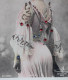 Ancienne Carte Postale, Photo-portrait De Réjane Avec Décor De Strass, Comédienne Reine De La Belle époque, 1856-1920 - Künstler