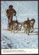 CPM " Attelage De Chiens De Traineaux " - Winter Sports