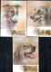 RUSSIA URSS RUSSIE 1988 HUNTING DOGS CANI DA CACCIA COMPLETE SET SERIE COMPLETA MAXI MAXIMUM CARD CARTE - Cartes Maximum