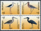 Philippines 2604-2605 Ad,2606,2606a,MNH. Birds 1999.Tern,Ruddy Turnstone,Herons, - Philippines
