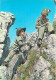 Enfants - Image - Scènes Et Paysages - Enfant Déguisé En Soldat - CPM - Carte Neuve - Voir Scans Recto-Verso - Scene & Paesaggi