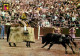 Corrida - Suerte De Picas - Chevaux - Carte Neuve - CPM - Voir Scans Recto-Verso - Stierkampf