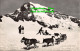 R358775 Jungfraujoch. Polarhunde U. Der Monch. Photoglob. Wehrli A. G. W 10917 - World