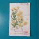Cartolina Fiori. Viaggiata 1954 - Blumen