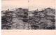 Israel - Les Rives De La Mer Morte - Carte Stereoscopique - חופי ים המלח - Israël