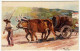 PORTUGAL - CARRO DE BOIS TRANSPORTANDO VINHO - DOURO - VEDI FIRMA ILLUSTRATORE - Vedi Retro - Formato Piccolo - Autres & Non Classés