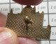 1818B Pin's Pins / Beau Et Rare / VILLES / BASILIQUE DE LISIEUX CALVADOS - Städte