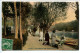 CPA COULEUR Voyagé 1914 * OLIVET Promenade Des Bords Du Loiret ( Femmes élégantes Table Bistrot ) * Excellent état - Other & Unclassified