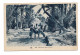 Postcard Tunisia Marabout Dans L'Oasis 1943 British Army Field Post Office FPO255 1 Infantry Division WW2 Gilbert Lewis - Weltkrieg 1939-45