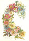 Fleurs - Heckenrose - Jungfer Im Grunen - Illustration - CPM - Carte Neuve - Voir Scans Recto-Verso - Fiori