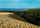 33 - Dune Du Pyla - Le Bassin Et La Forêt De Pins - Bassin D'Arcachon - CPM - Voir Scans Recto-Verso - Andere & Zonder Classificatie