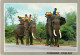 Animaux - Eléphants - Thailande - Thailand - Chiangmai - Elephants Walking Slowly On The Road, Northern Thailand - CPM - - Elephants