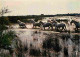 Animaux - Chevaux - Camargue - Chevaux Camarguais Dans Les Marais - CPM - Voir Scans Recto-Verso - Horses