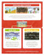 Super Mario Bros WII Mini Guide Multijoueur - Literatura E Instrucciones