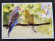 Malaysia Pets 2023 Pet Parrot Bird Birds (maxicard) - Malaysia (1964-...)