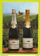 Publicité Carte Postale PUB Champagne DIOGENE TISSIER Et FILS Courcourt Chavot Epernay VOIR DOS - Epernay