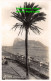 R359913 Gibraltar. Artistic View Of The Rock From Spanis Shores - World