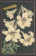 093542/ Lys, Signée TNZ - Flowers